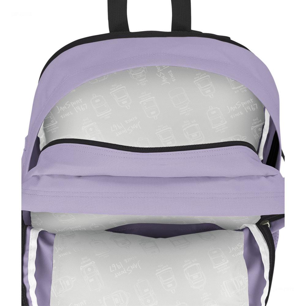 Sac à Dos Scolaire JanSport Main Campus Violette | USI-98405602